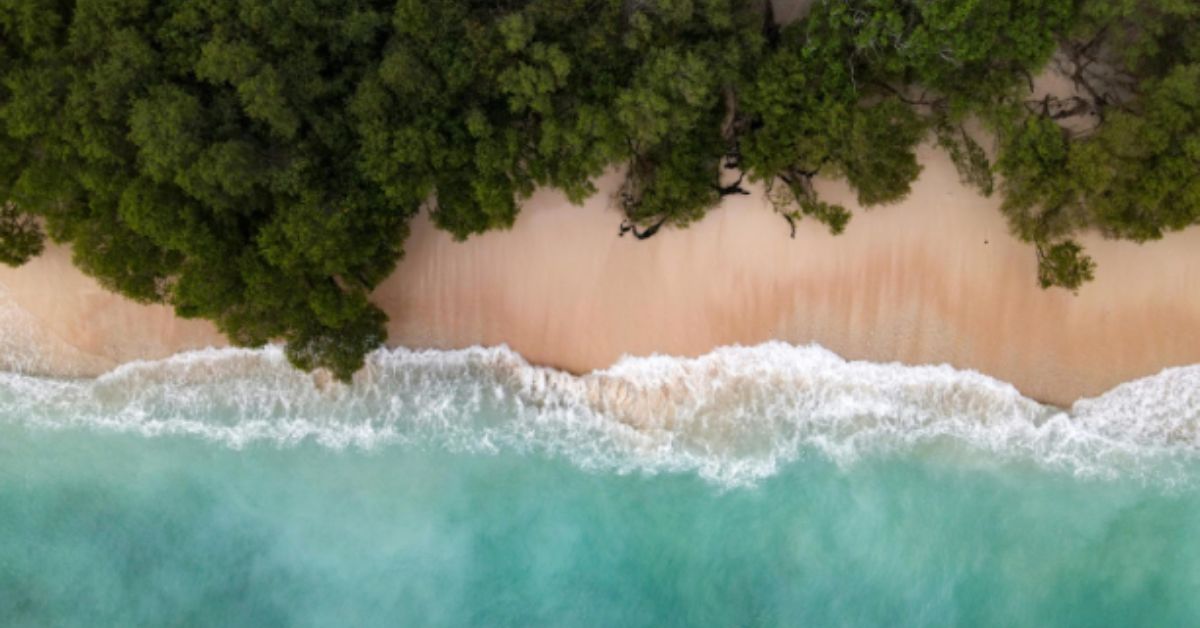 Best Beaches in Andaman Islands