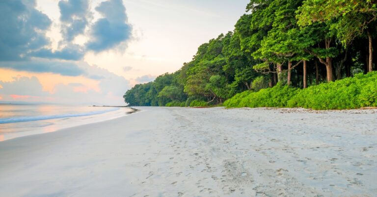 Places to Visit in Havelock Island