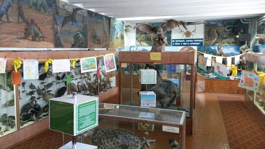 Zoological Survey Museum