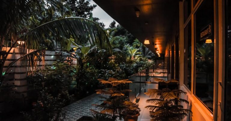 Luxury Resorts in the Andaman Islands