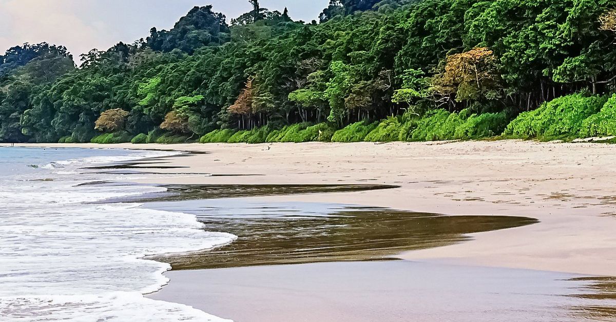 Things to Do in Havelock Island