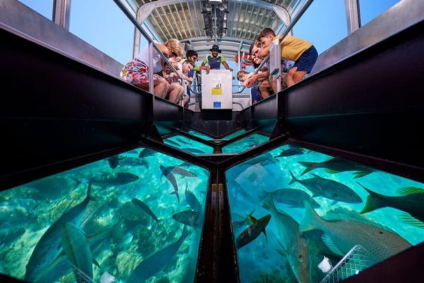 Glass Bottom Boat Ride