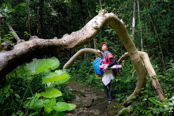 Trekking in Andaman – Into the Heart of Nature